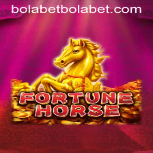 bolabet Casino App